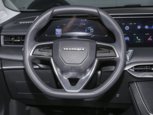 2023款260T 新星版 Pro 方向盘