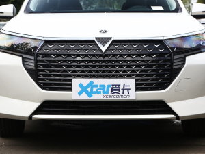 2023款PLUS 1.6L XE CVT潮领版 中网