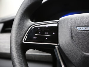 2023PLUS 1.6L XE CVTI п؅^