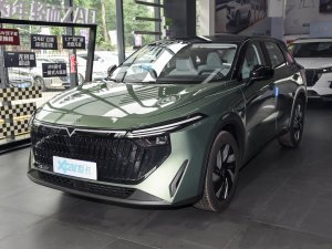 2023款110km iE版 左前45度