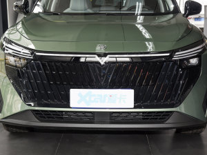 2023款110km iE版 中网
