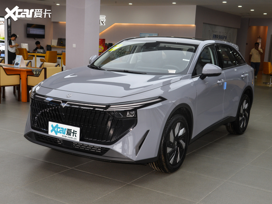 2025V DD-i 110km Pro