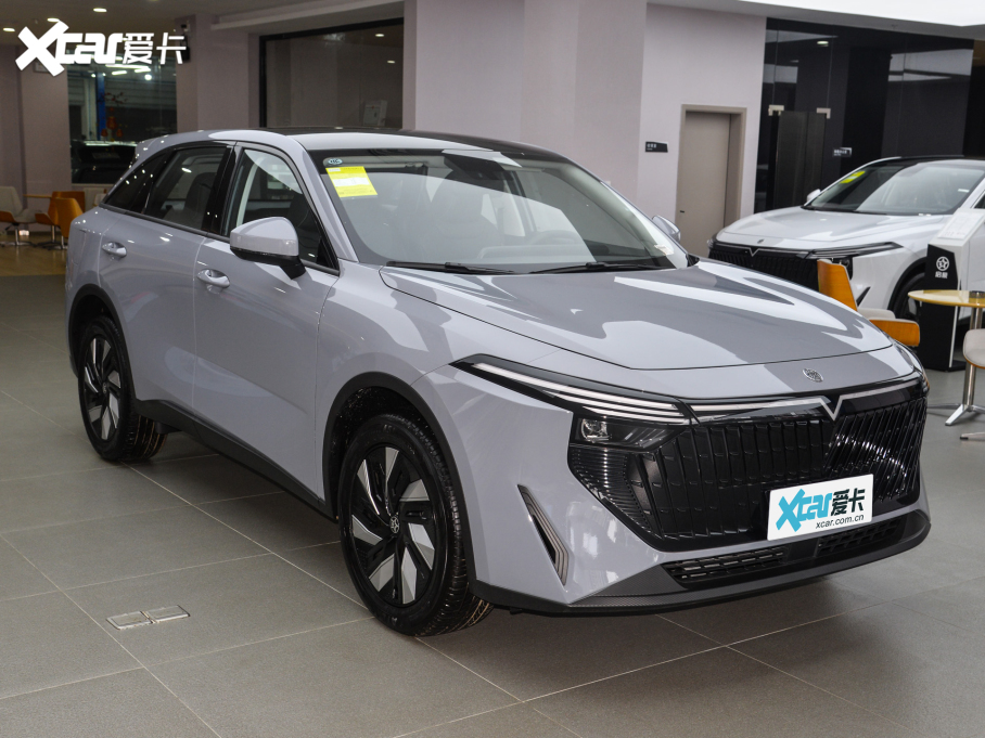 2025V DD-i 110km Pro