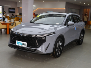 2025款110km Pro版 整体外观