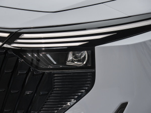 2025110km Pro (x)(ji)^