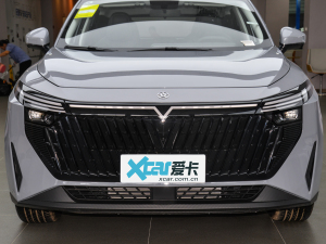 2025款110km Pro版 细节外观
