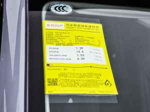 2025款110km Pro版 其它
