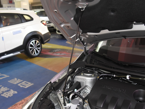 20181.6L XL ք(dng)(lin)Ӣ 