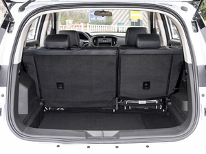 2021Ŀ  1.5L քӕr g