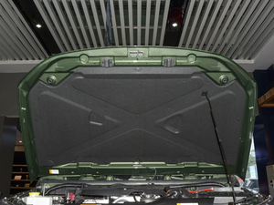 2020款2.3T 自动四驱雨林穿越版 其它