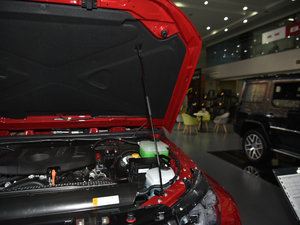 2020款2.0T 自动四驱城市猎人版 至尊型 其它