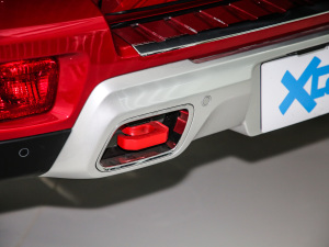 2020款2.0T 自动四驱致敬2020版至尊型 细节外观