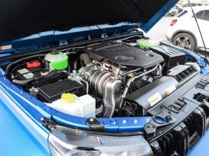 2021款2.0D 自动四驱刀锋英雄版侠客型 其它