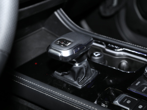 20212.0T Ԅӭh܊ п؅^