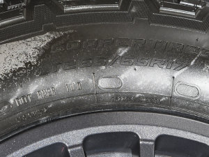 20232.0T Ԅh܊ ݆̥ߴ