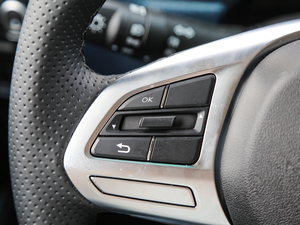 2018PLUS 2.0T ք(dng)(q) (gu)V п؅^(q)