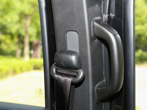 2018PLUS 2.3T Ԅ(q)Ş V g