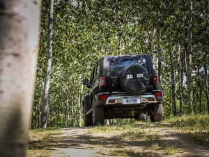 2018PLUS 2.3T ԄŞ V w^