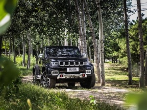 2018PLUS 2.3T ԄŞ V w^