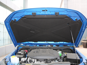 2018款2.3T 自动四驱环塔冠军版 国V 其它