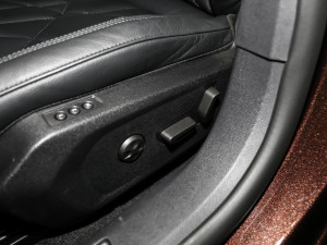 202145THP  {{(dio)(ji)