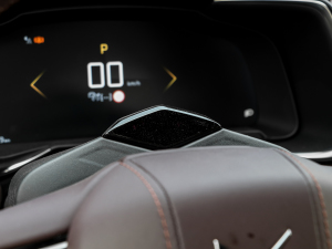 202145THP 脡Ժ п؅^