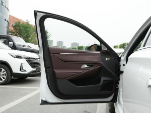 20211.6T E-TENSE 脡Ժ g