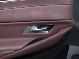 20211.6T E-TENSE 脡Ժ g