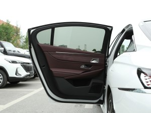 20211.6T E-TENSE 脡Ժ g