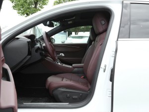 20211.6T E-TENSE 脡Ժ g