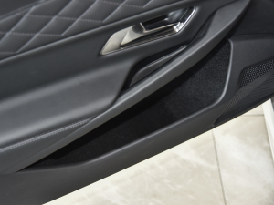 20211.6T E-TENSE  ǰTg