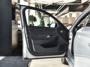 20211.6T E-TENSE  {λ܇T