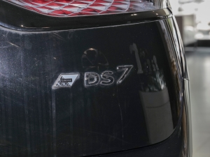 202245THP Rذ (x)(ji)^