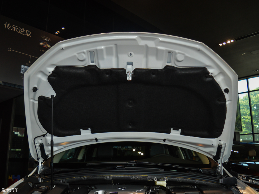 2018��DS 4S 30THP �ń���