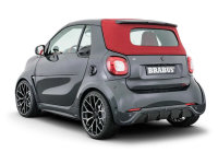 ۲ smart fortwo