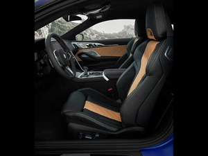 2019Competition Coupe g