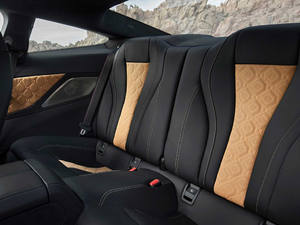 2019Competition Coupe g