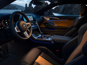 2019Competition Coupe g