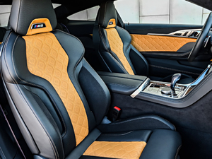 2019Competition Coupe g