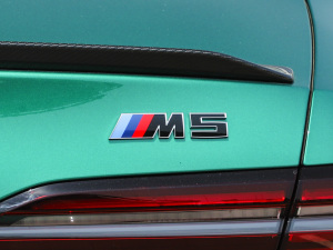 2025M5  ^