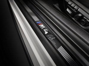 2014DTM Champion Edition g