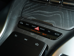 2019AMG GT 53 4MATIC+ T܇ п؅^