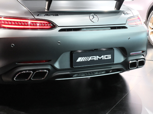 2019AMG GT C ^