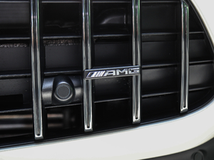 2021AMG GT R PRO (ji)^