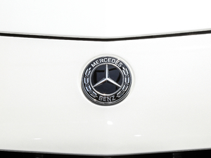 2021AMG GT R PRO (ji)^