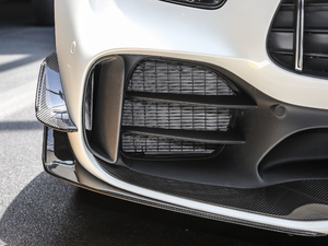 2021AMG GT R PRO (ji)^