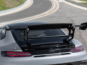 2021AMG GT Black Series ^