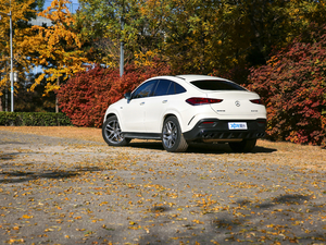 2020AMG GLE 53 4MATIC+ w^