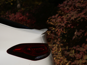 2020AMG GLE 53 4MATIC+ ^