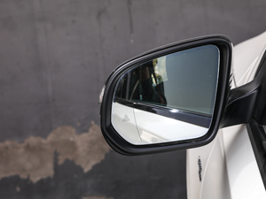 2020AMG GLE 53 4MATIC+ g